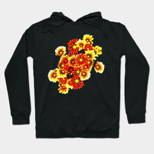 Gazanias in Red and Yellow Transparent Background Hoodie